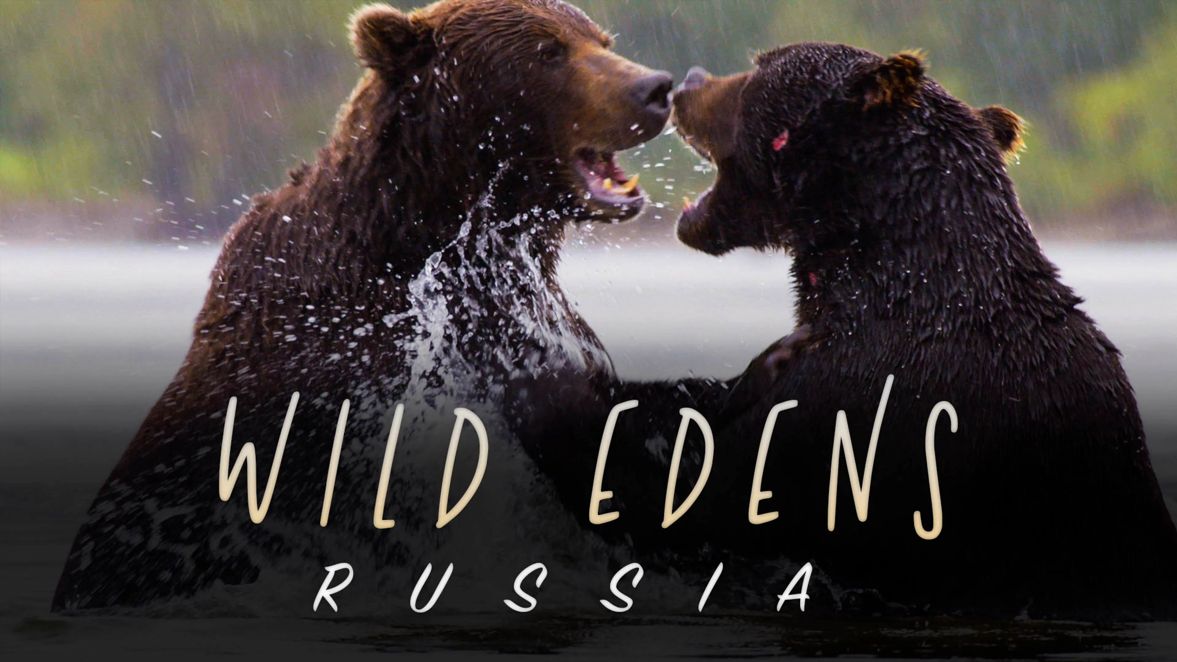 Wild Edens: Russia poster